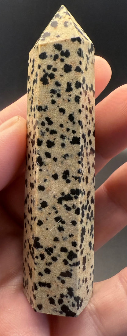 Dalmatian Jasper Towers - Crystal wonderland By Lisa
