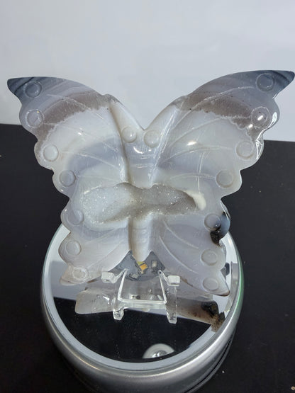 Agate Druzy Butterfly Carving with Acrylic Stand – 10cm | 135g