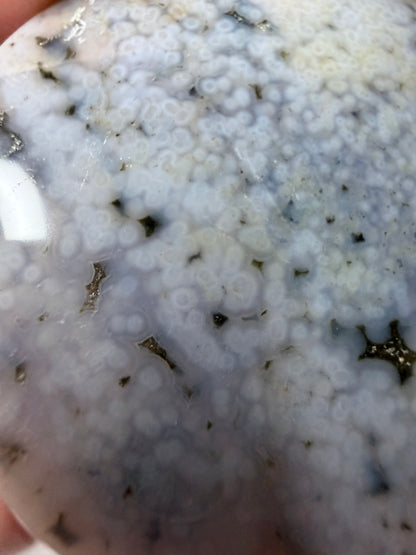 Ocean Jasper Pendant Necklace