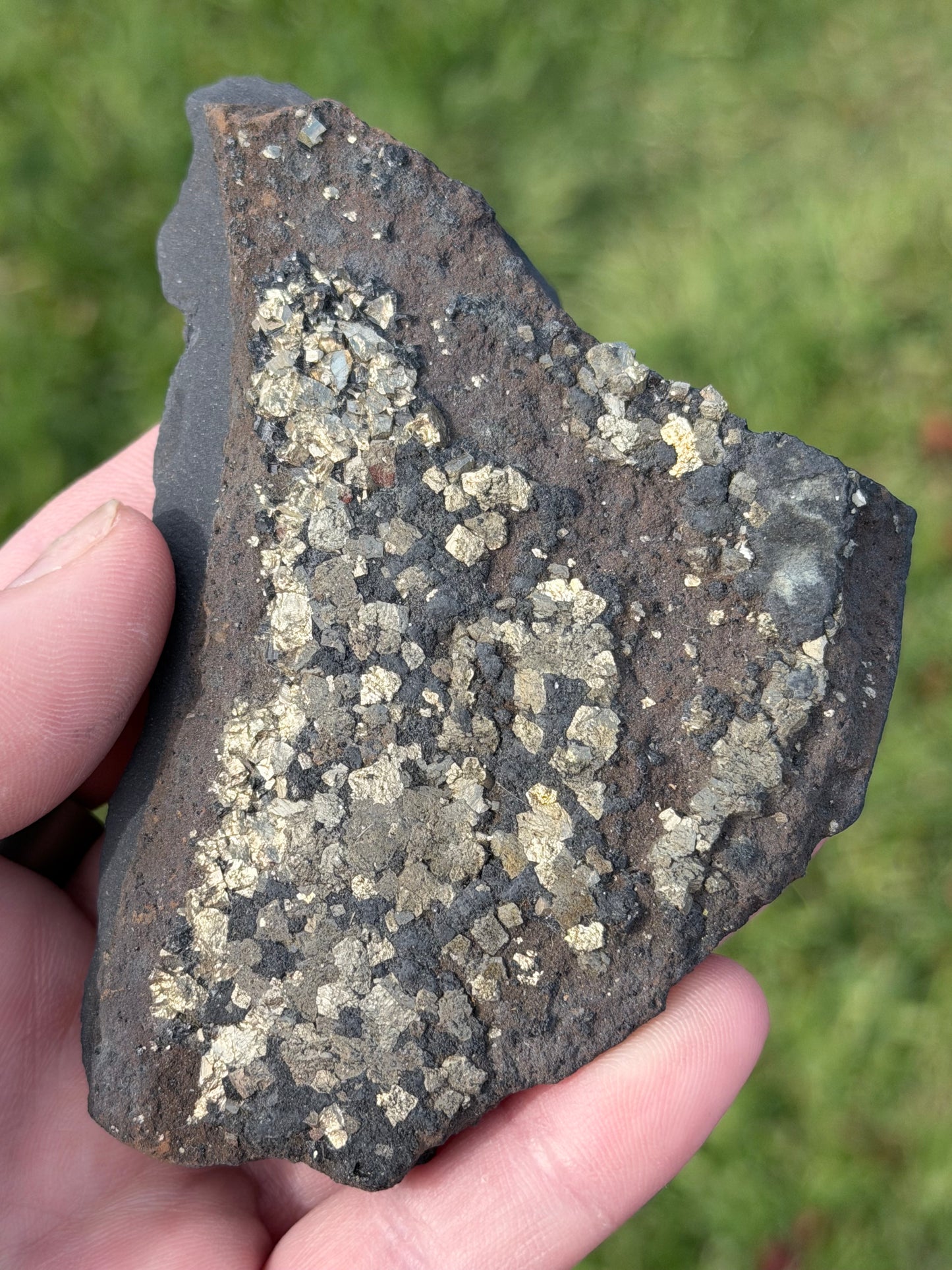 Natural Pyrite on Shungite Specimen – 174g