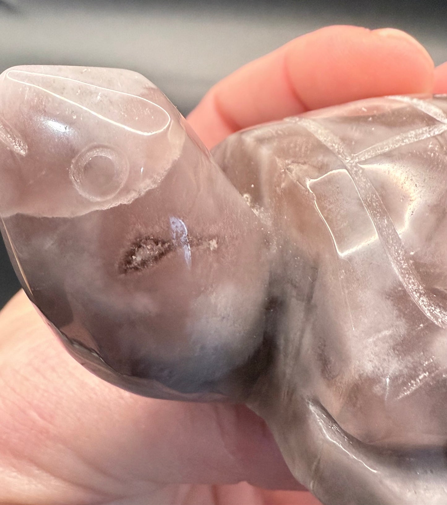 Grey Agate Turtle with Sparkling Druzy