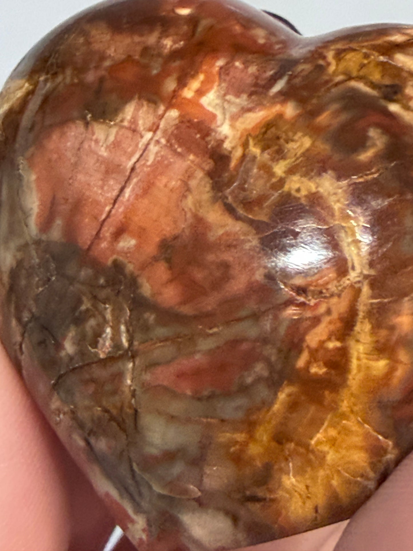 Petrified Wood Heart 🤎 A