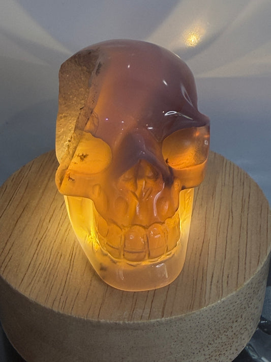 Agate Skull with Sugar Druzy Base – 6.8cm | 165g