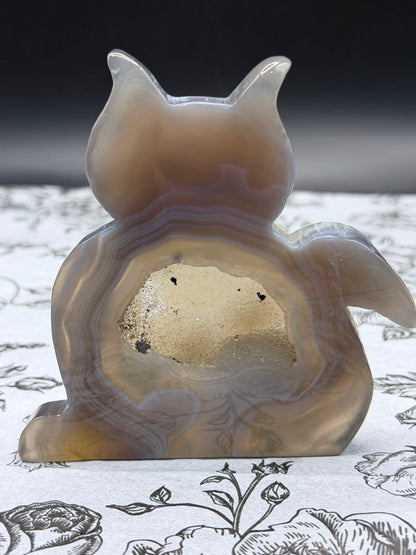 Druzy Banded Agate Cat Geode — 140g | 9.3 x 9.2cm