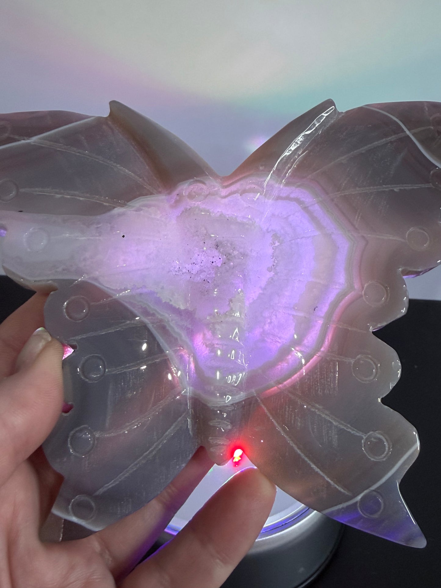 Agate Druzy Butterfly Carving with Metal Zodiac Stand – 15cm