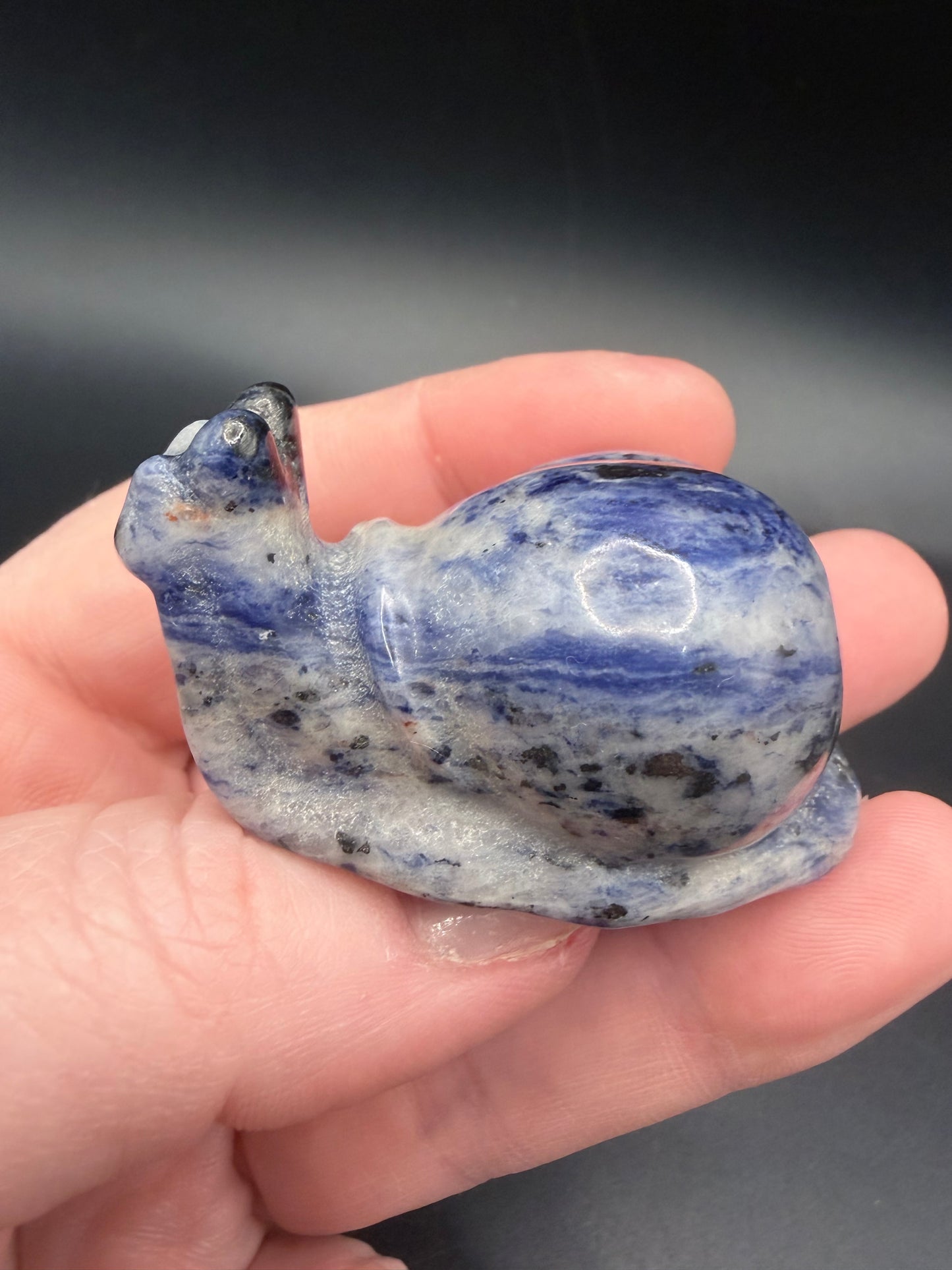 Sodalite Snail Carving – 5cm