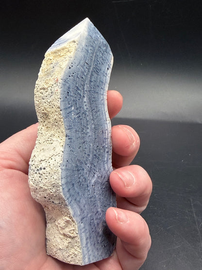 Blue Coral Specimen Tower – Large