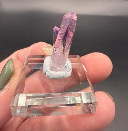 Vera Cruz Amethyst points on Glass Display
