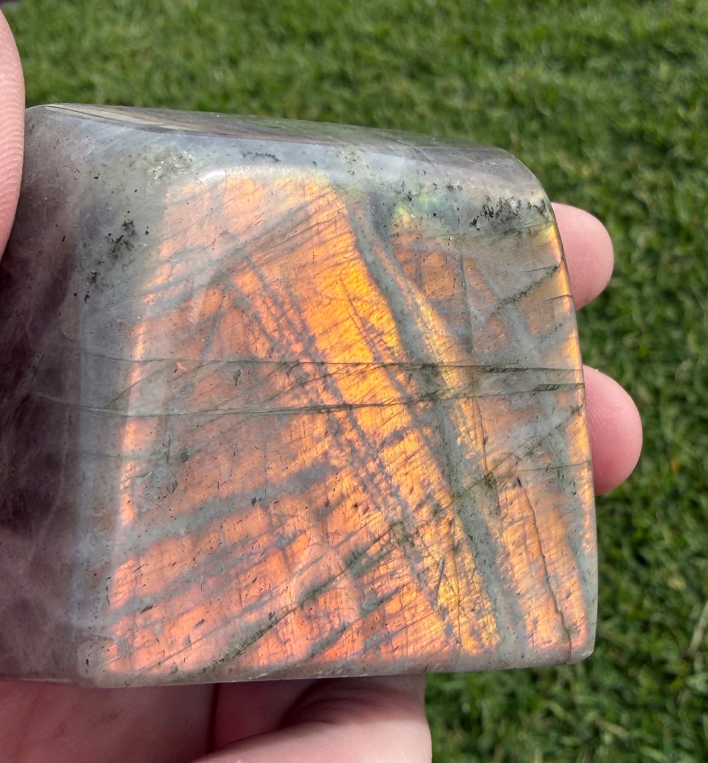 Sunset Flash Labradorite Freeform – 223g