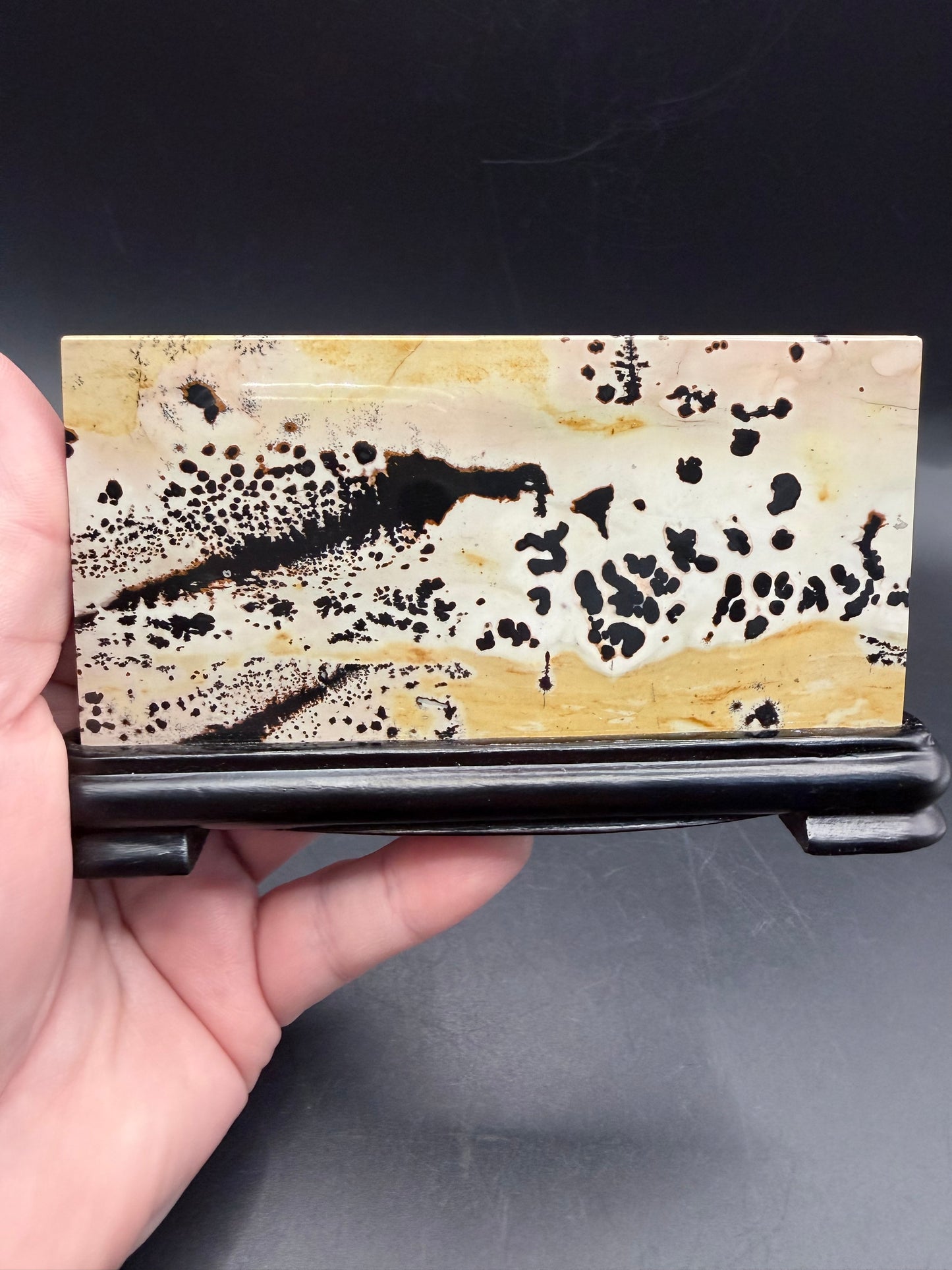 Dendritic Picture Jasper Slab on Stand