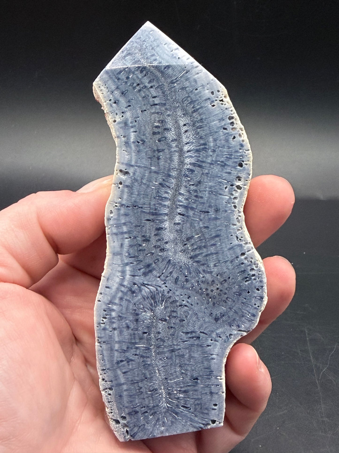 Blue Coral Specimen Tower – Large