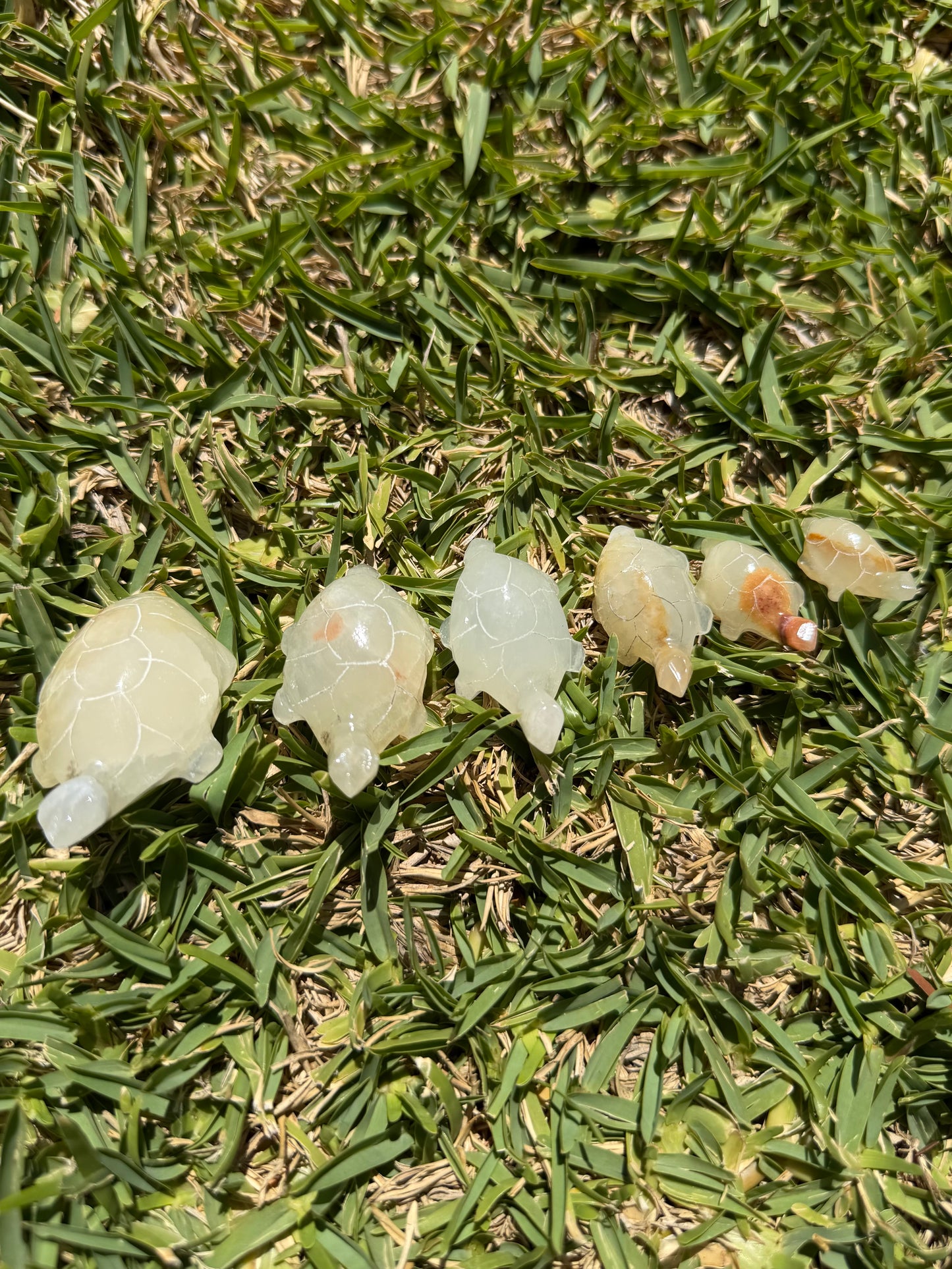 Yellow Calcite Turtle Family Carving – 6 Piece Set