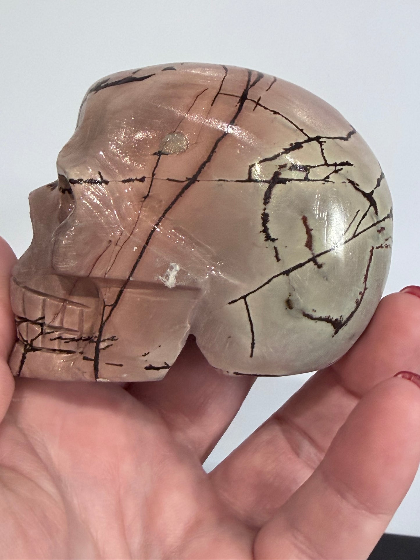 Picture Jasper Skull Carving – 338g