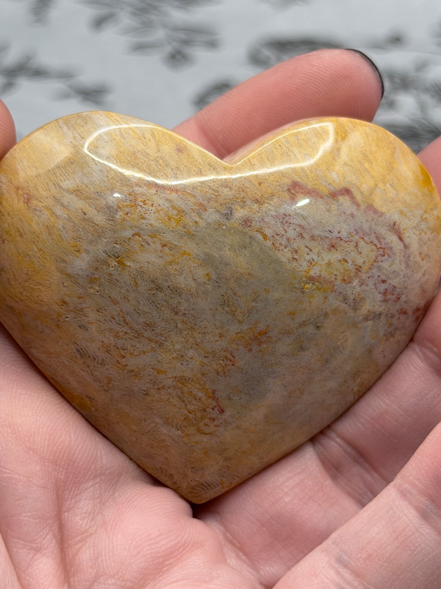 Fossil Coral Heart (85g) – Cream & Honey