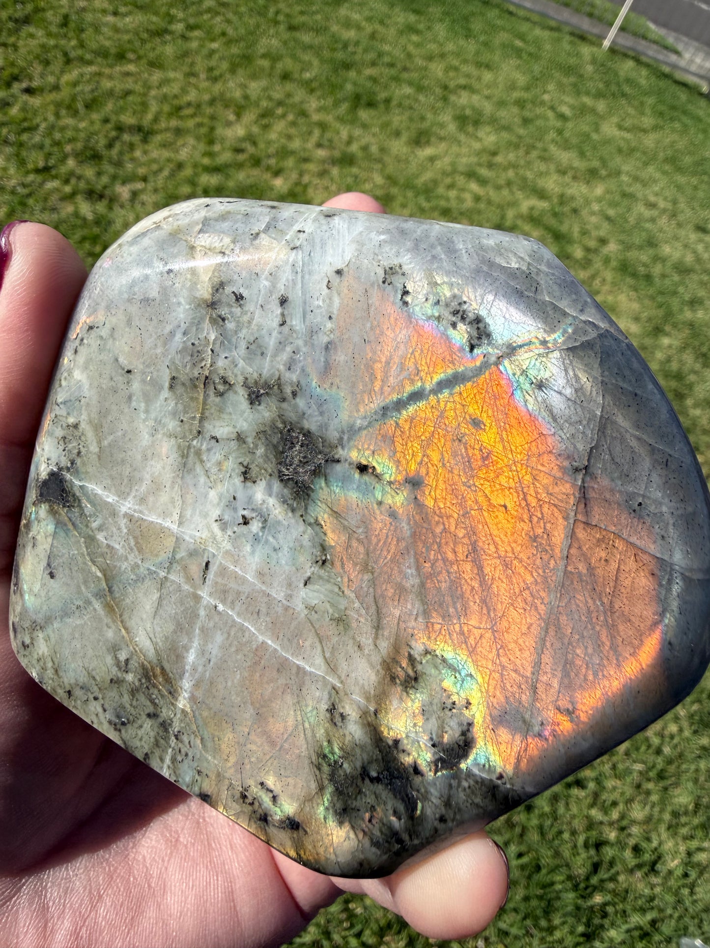 Labradorite Freeform Stunning Flash