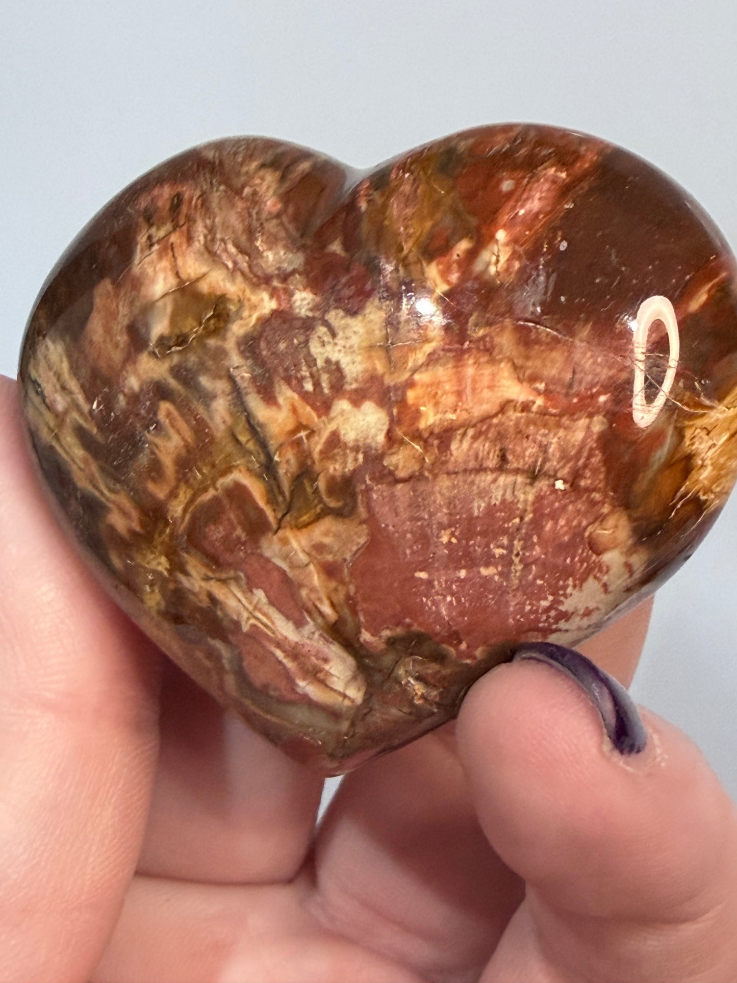 Petrified Wood Heart 🤎 A