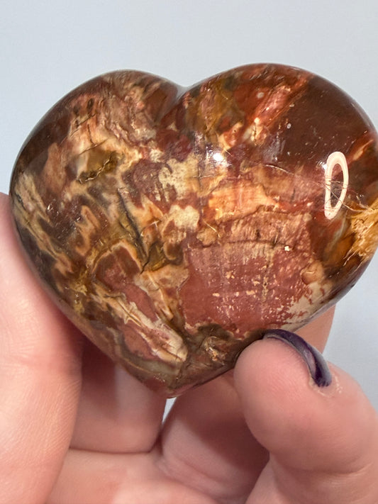 Petrified Wood Heart 🤎 A