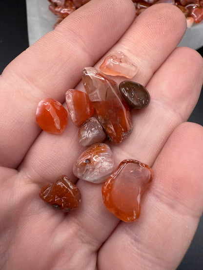 Carnelian Chips 50gm