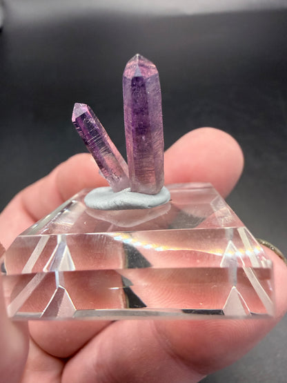 Vera Cruz Amethyst Cluster on Glass Display