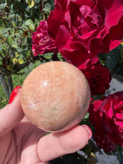 Peach Moonstone Sphere – 5.2cm | 190g