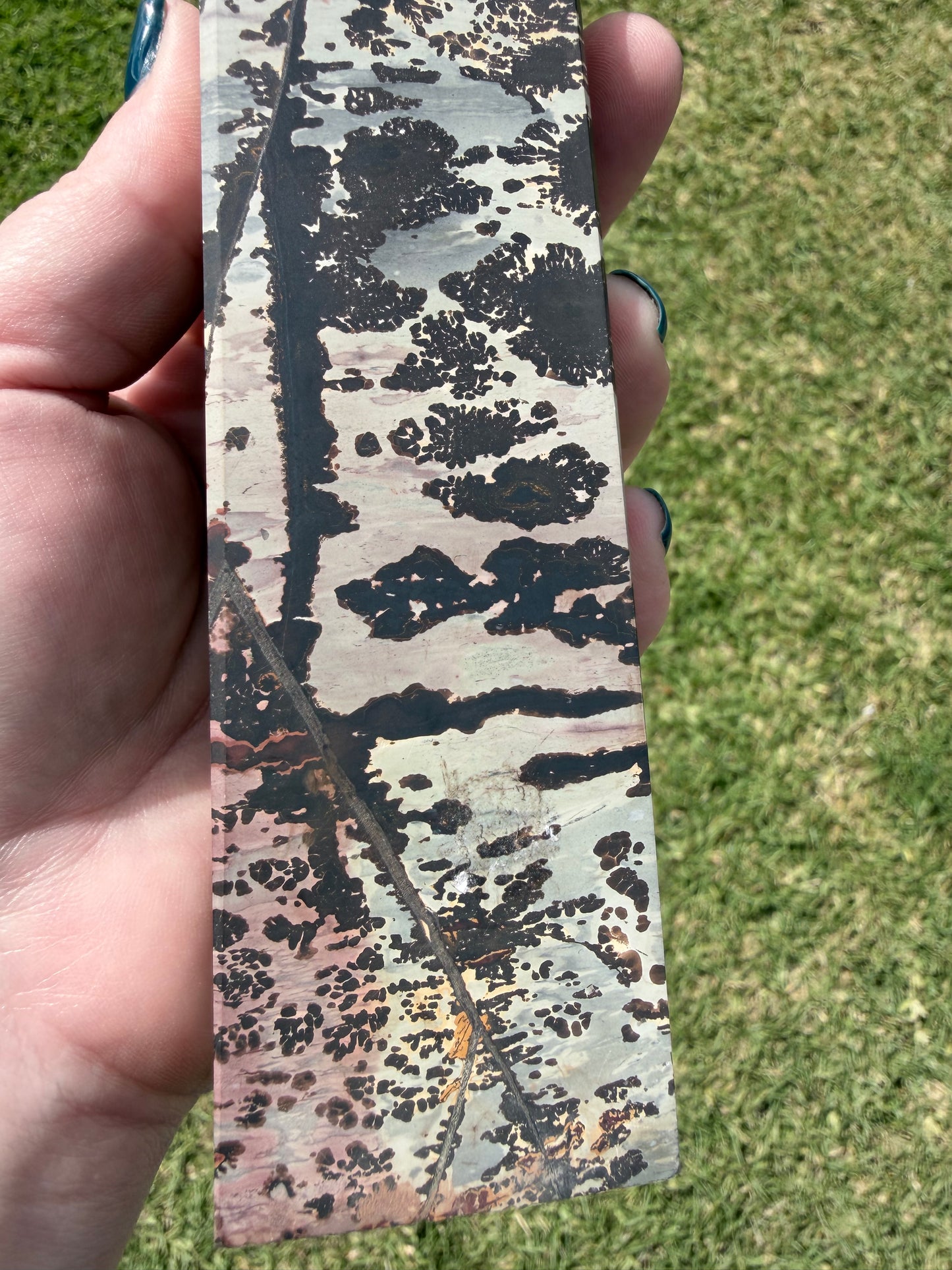 Picture Jasper with Dendritic Inclusions