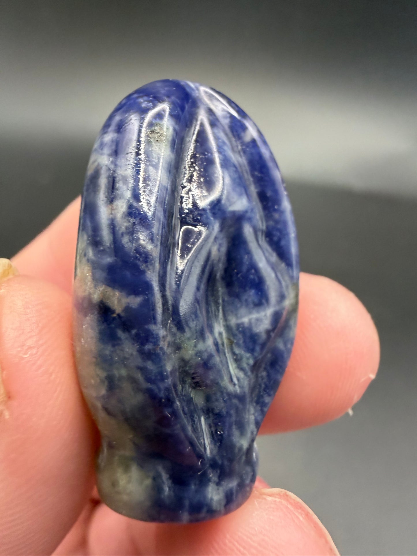 Sodalite Source of Life Carving