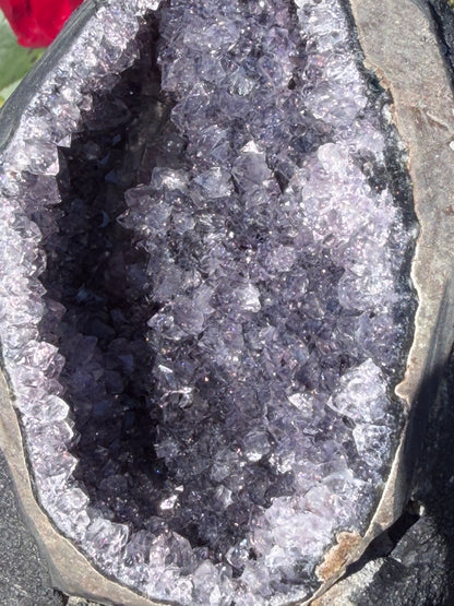 Brazilian Amethyst Druzy Cave – 984g B