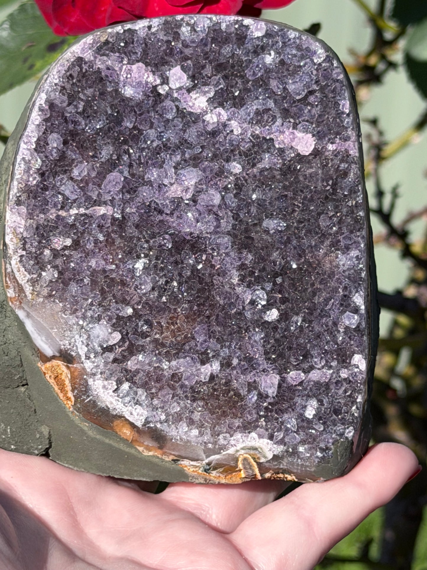 Brazilian Amethyst Druzy Geode – 807g D