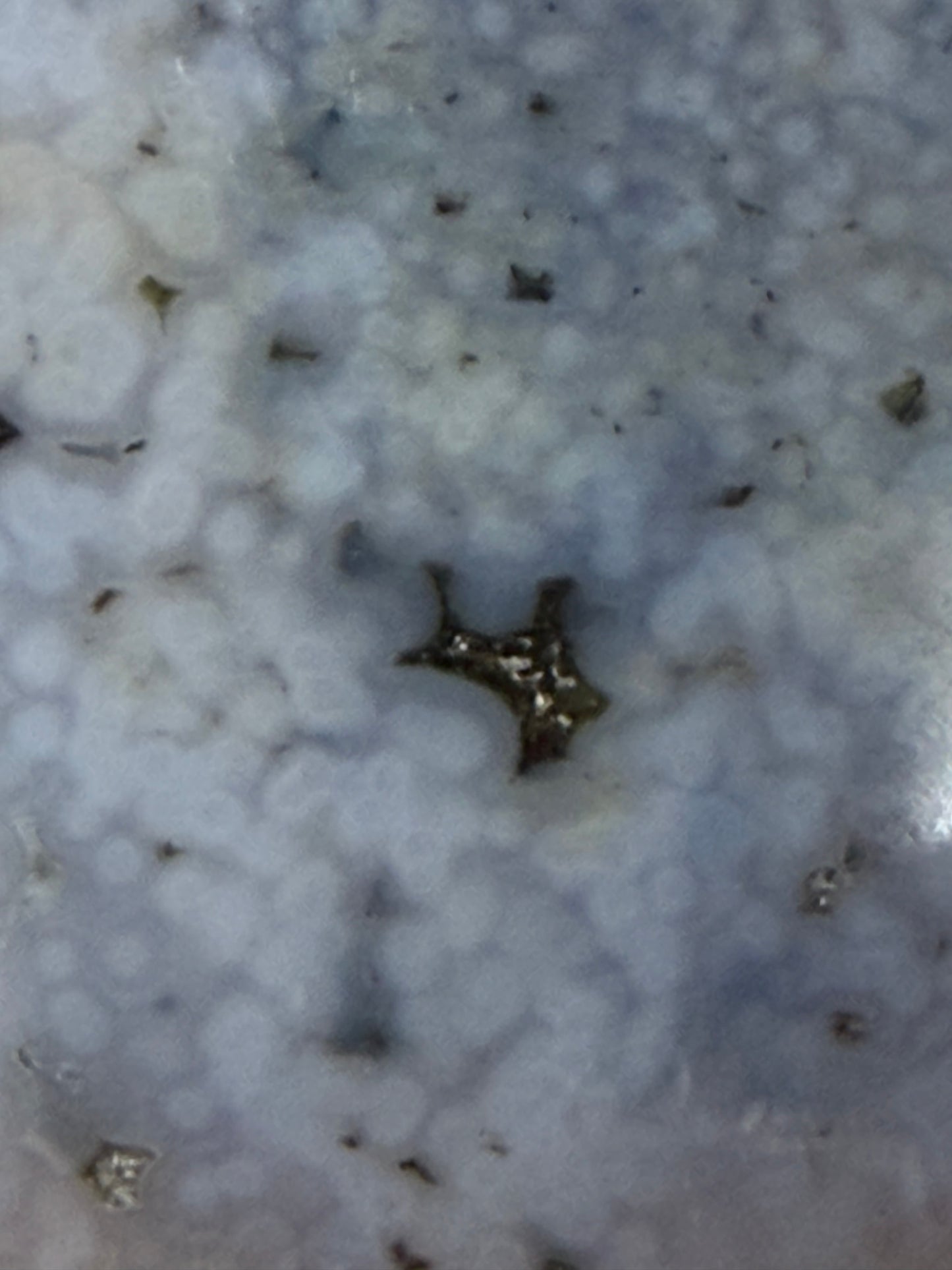 Ocean Jasper Pendant Necklace