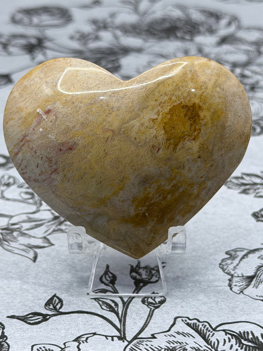 Fossil Coral Heart (85g) – Cream & Honey