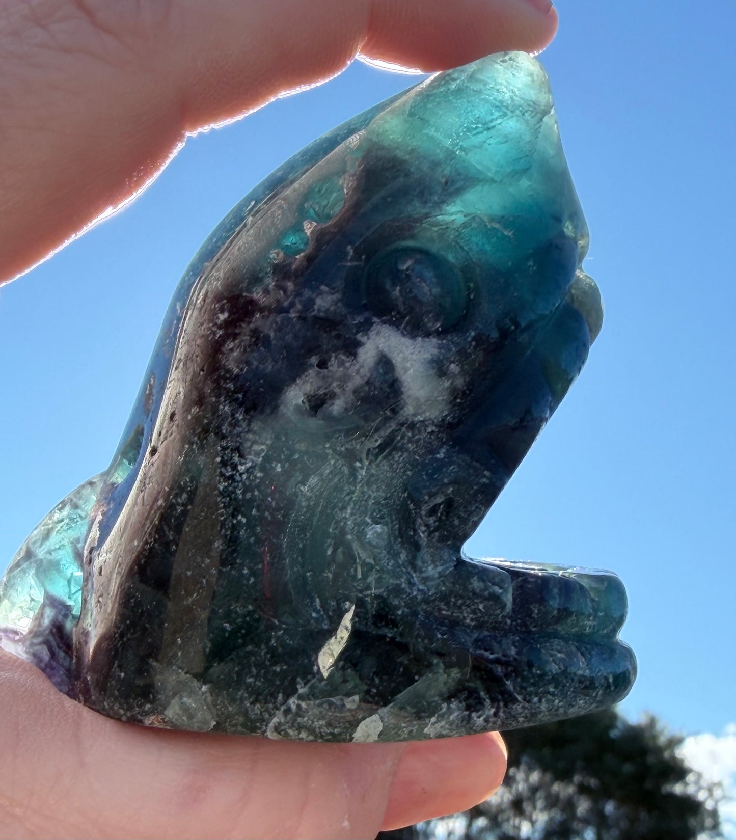 Blue Fluorite Shark Carving 7.2cm | 242g