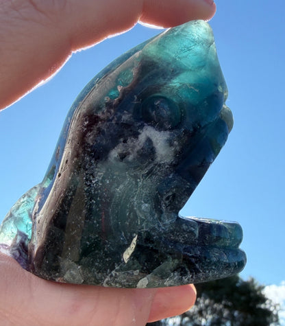 Blue Fluorite Shark Carving 7.2cm | 242g