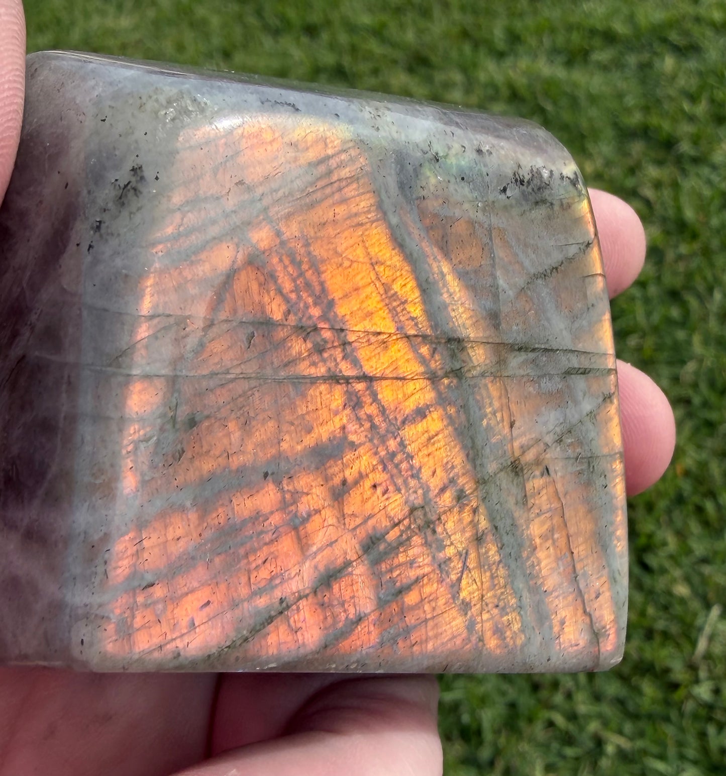 Sunset Flash Labradorite Freeform – 223g