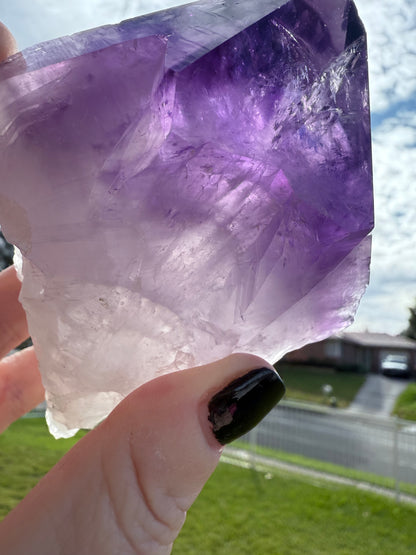 Amethyst Tooth with Custom made stand