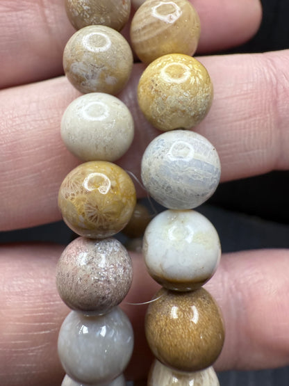 Fossil Coral Bracelet 8mm
