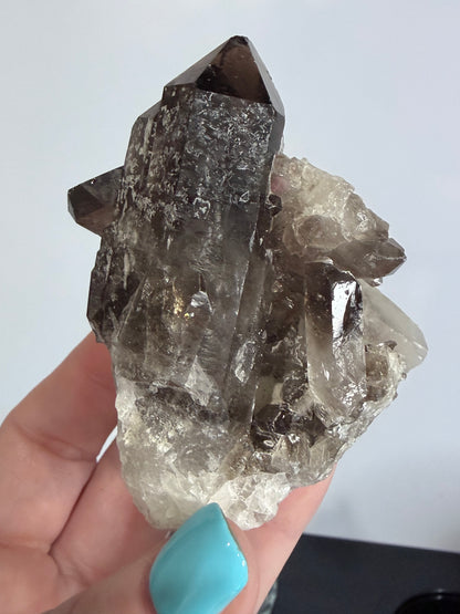 Smoky Quartz Crystal Cluster on Milky Quartz Matrix 160g | Natural Brazilian -
