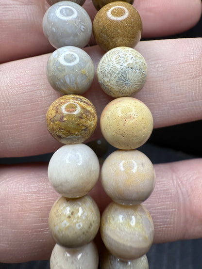 Fossil Coral Bracelet 8mm