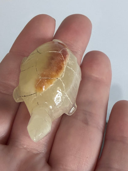 Brown Banded Calcite Turtle Family Carving – Set of 6