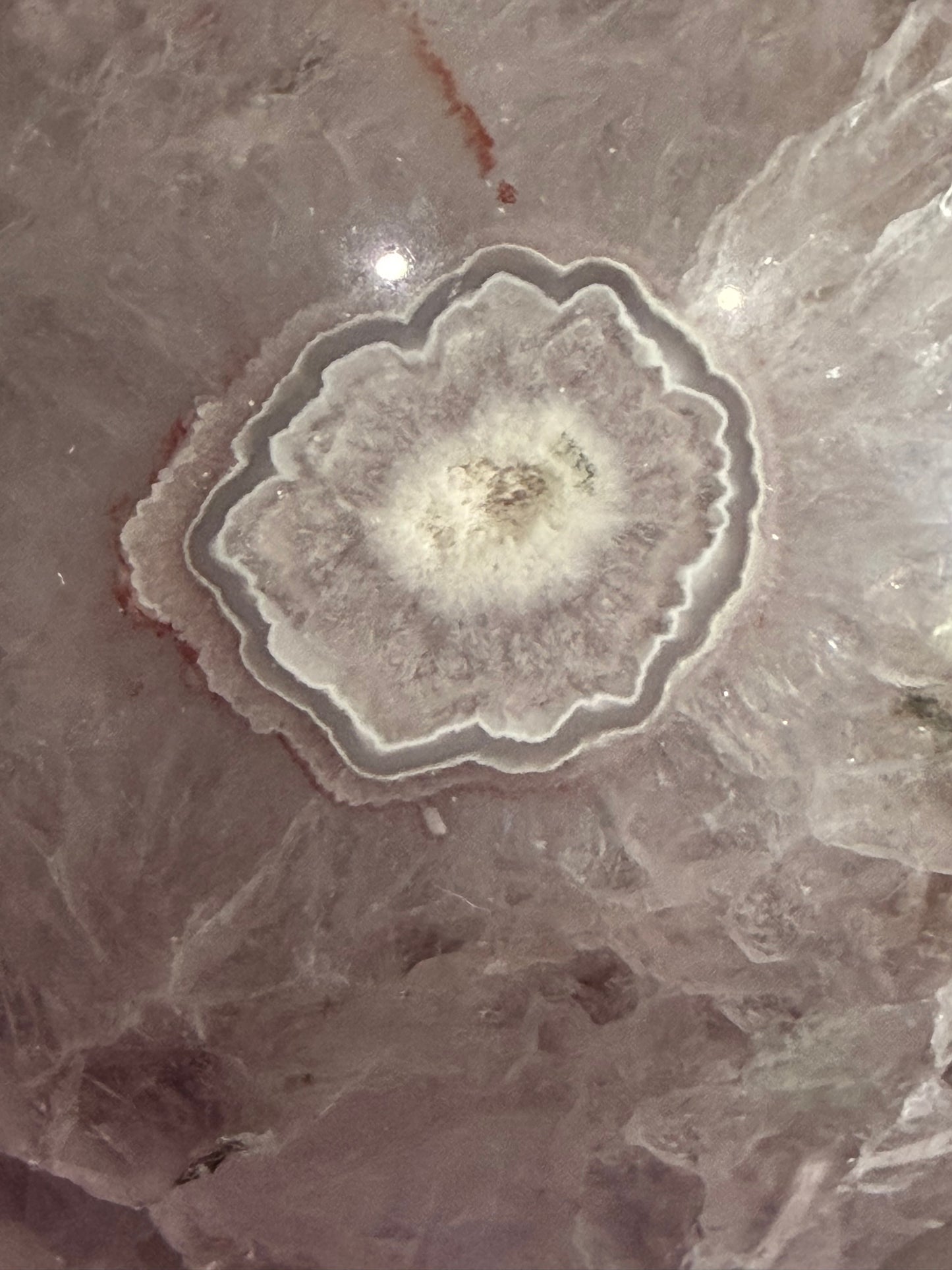 Premium Flower Agate Sphere with Druzy & Crystal Garden – 7 cm | 445g