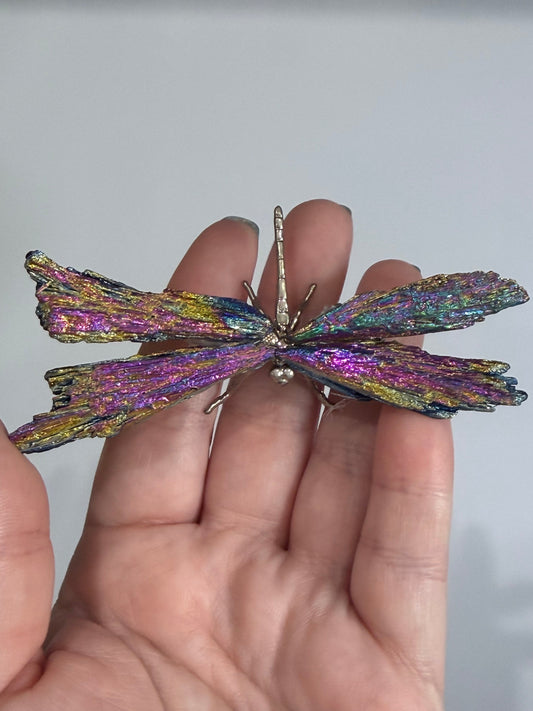 Aura Kyanite Dragonfly – 9cm