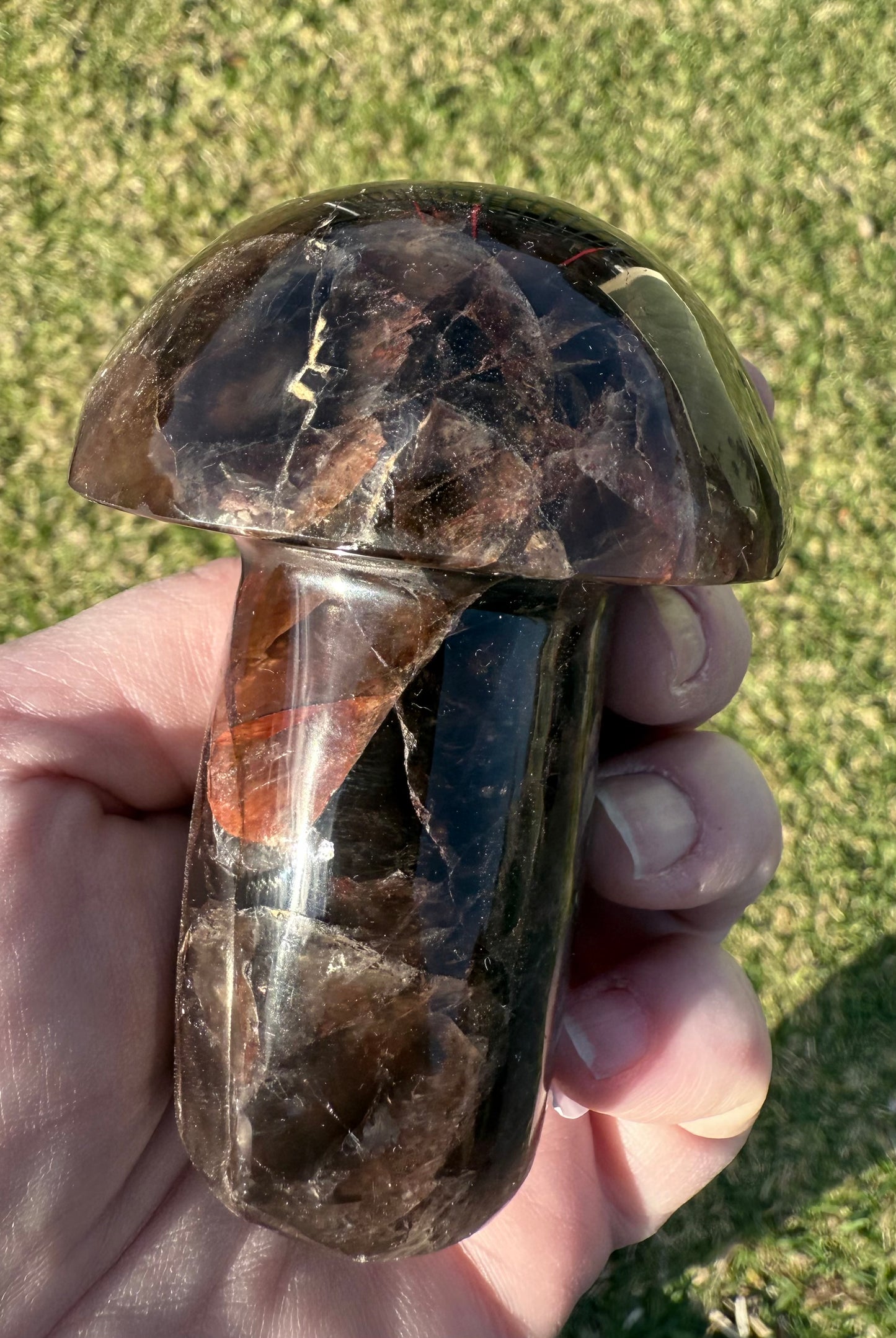 Red Fire Quartz in Smoky Quartz Mushroom