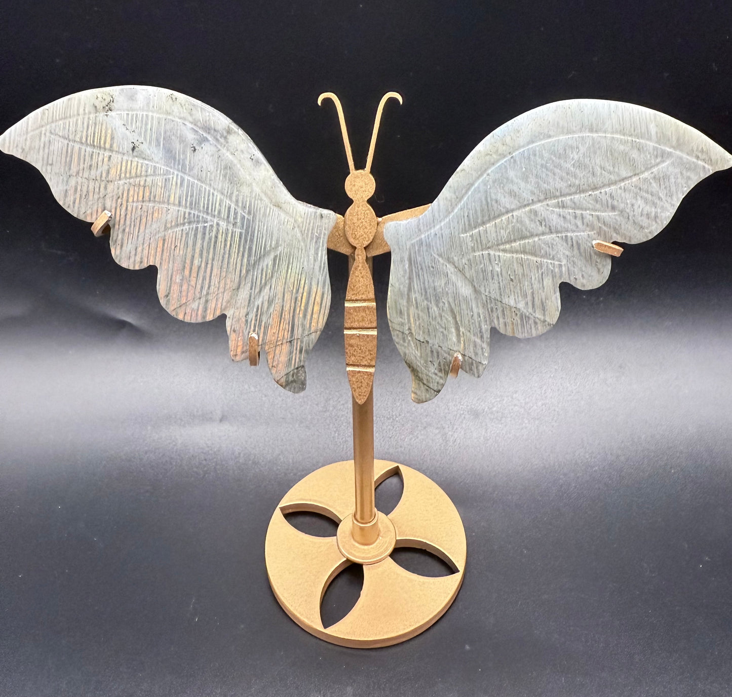 Labradorite Butterfly with Stand