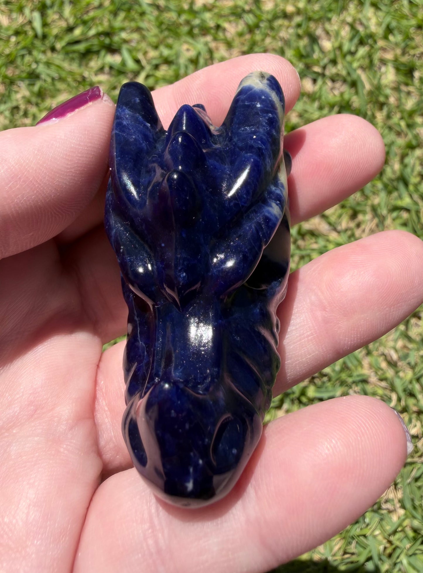 Sodalite Dragon Head