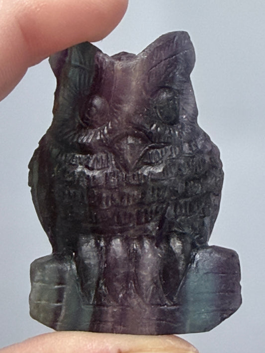 Rare Blue Banding Rainbow Fluorite Owl Carving – 5.1cm