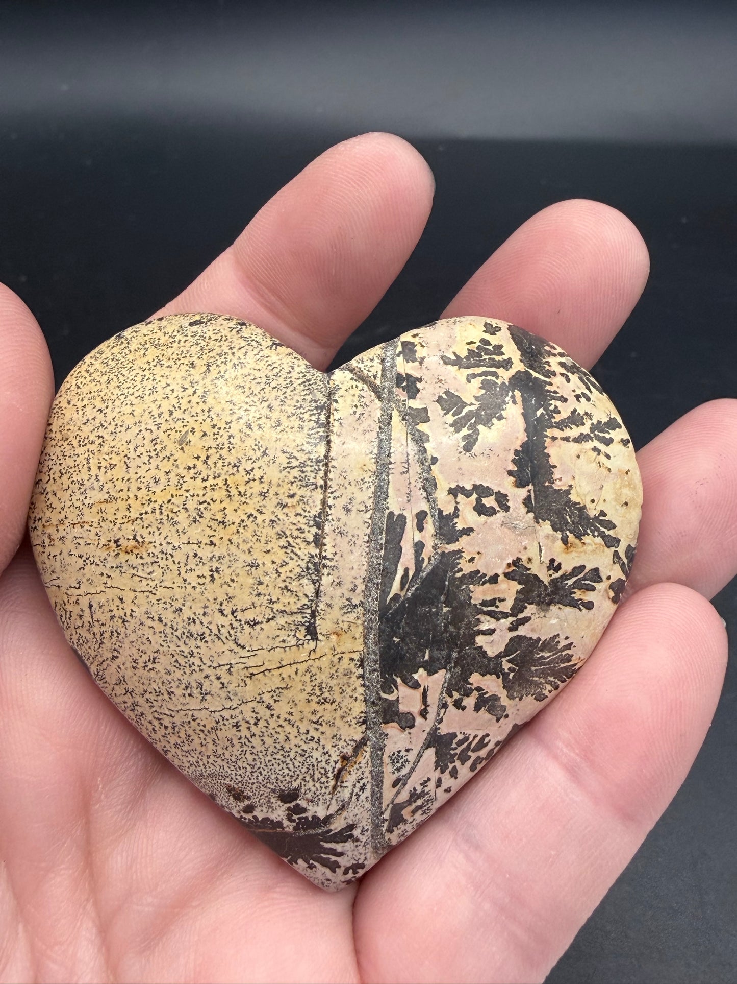 Picture Jasper with Dendritic Inclusions Heart 6.3cm