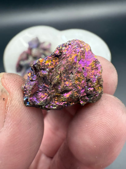 Raw Peacock Ore Specimen Tumbles 50gm