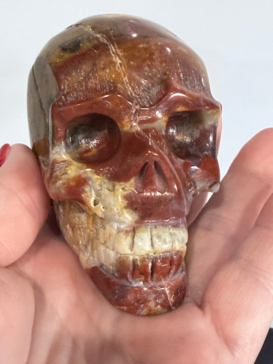 Petrified Wood Crystal Skull – 357g | 7 × 8 cm B