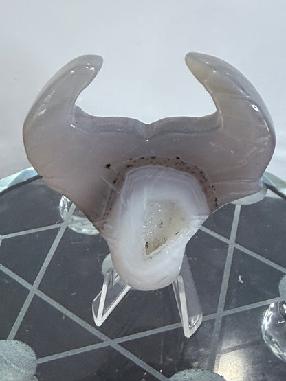 Dendritic Agate Bull Head Carving with Druzy – 5.5cm (With Stand)