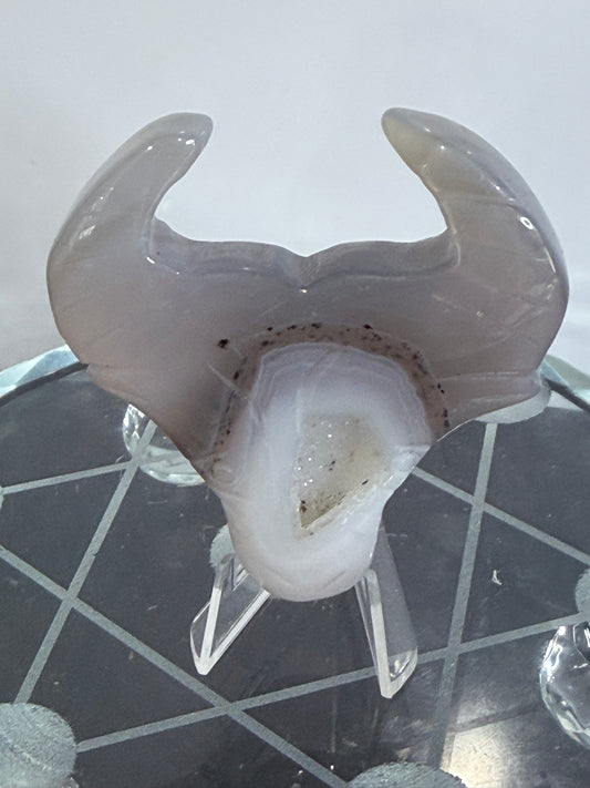 Dendritic Agate Bull Head Carving with Druzy – 5.5cm (With Stand)