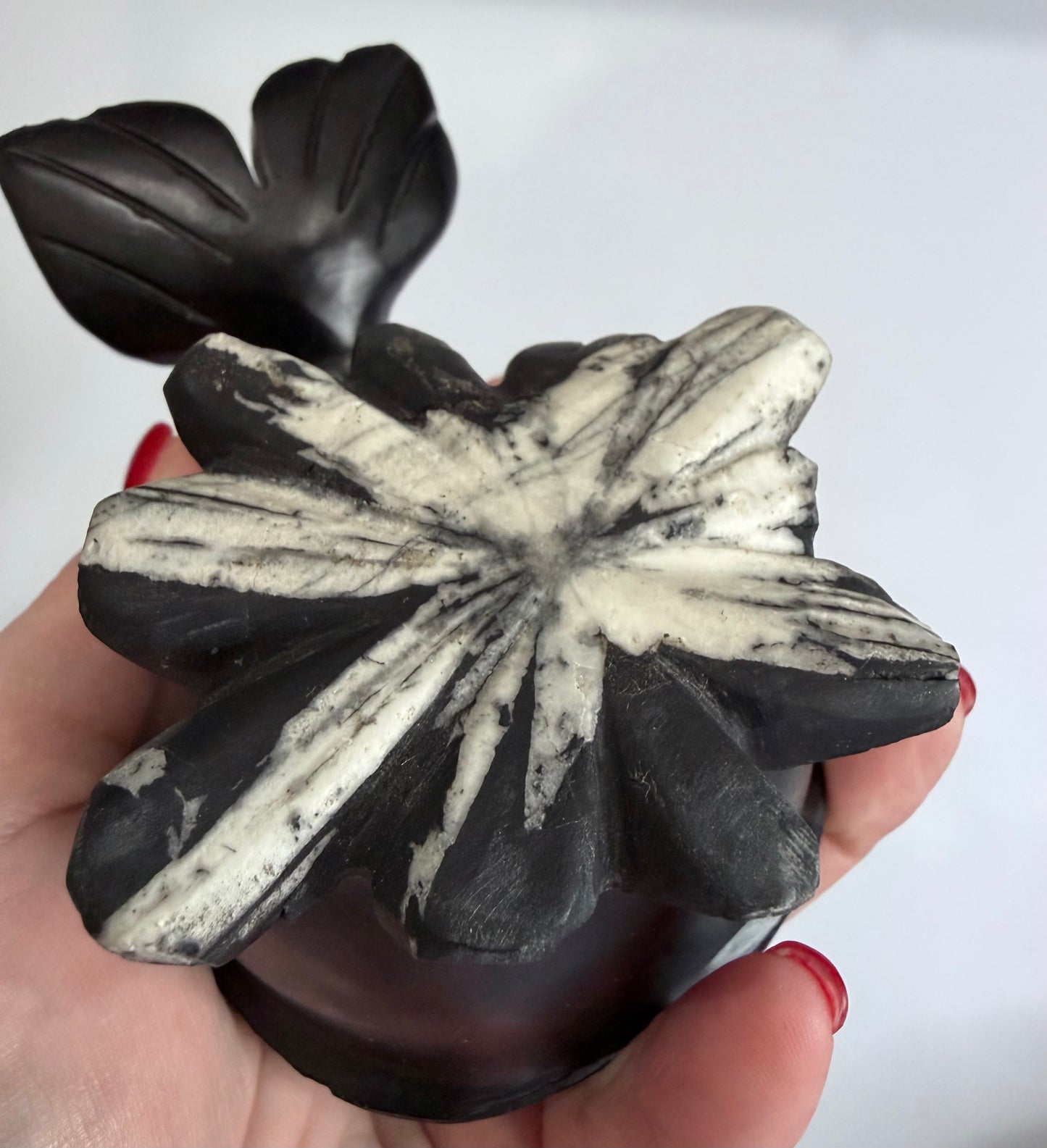 Chrysanthemum Stone Whale Crystal Carving – 12cm | 656g